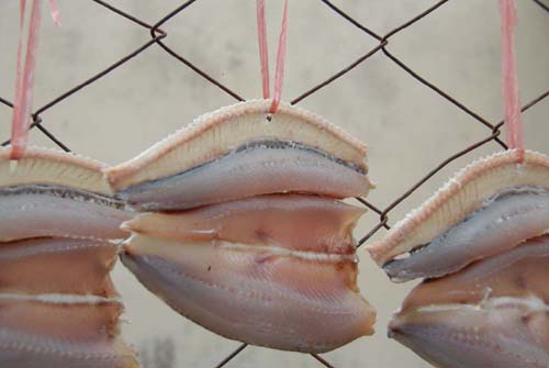 トビウオの干物