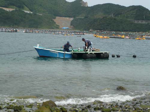 海のプールを設置する保護者