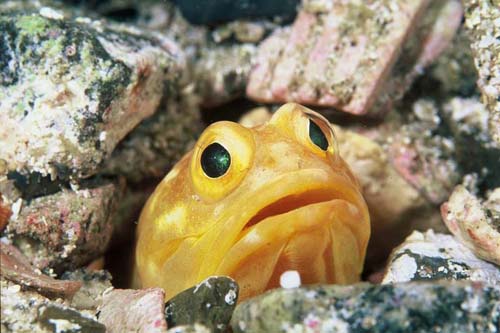 (アクアス提供)