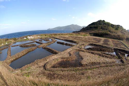 陸側から見たトンボ池。池の向こうはすぐ海だ