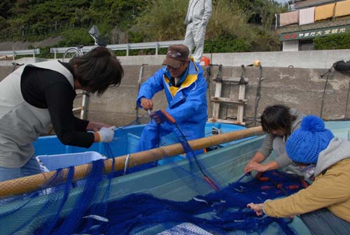 網に刺したとんごろうを奥さんと手早く丁寧に外す。実感センターのスタッフもお手伝いに加わったがうまく外せず商品価値を下げたようだった