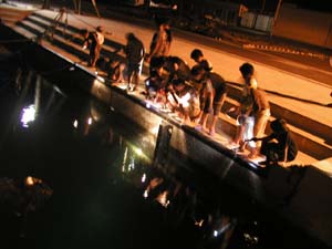 夜の海の生き物観察