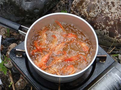 河原で唐揚げ。チョーうめー!