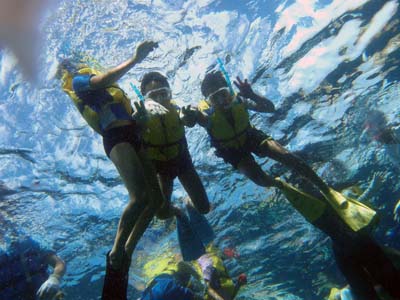 透明度の高い海でのシュノーケリング