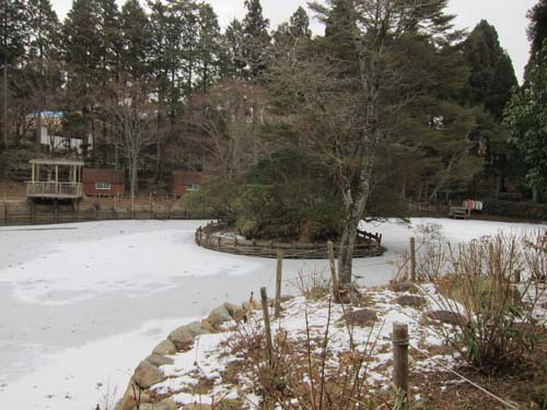 凍る池