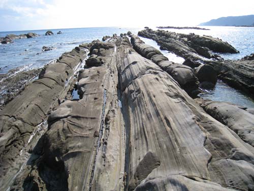 竜串海岸の大竹小竹(岩瀬文人提供)