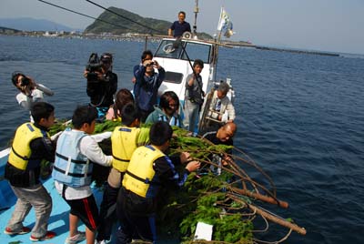 海の中の森づくり(アオリイカの人工産卵床設置活動)