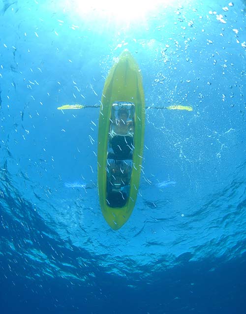 底が透明なクリアカヌーで海中観察
