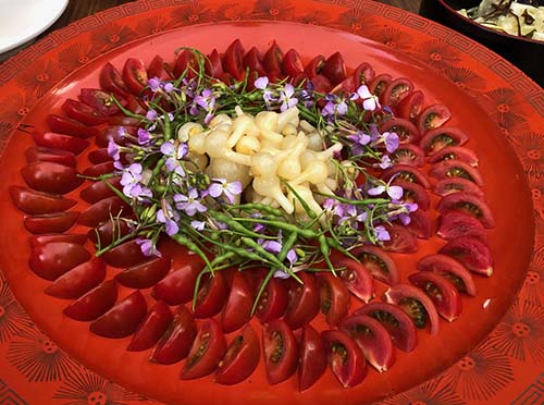 野草を積んで食卓に