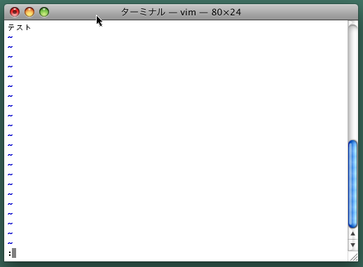 MacOSのターミナルでviを実行